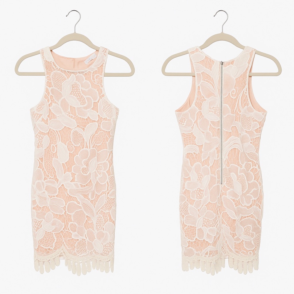 Lovers + Friends Lace Overlay Dress in Pink and White